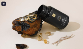 Supercharge Your Day: Why These Chaga & CBD Softgels Are Flying Off Shelves!